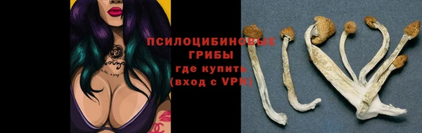 прущая мука Нефтегорск