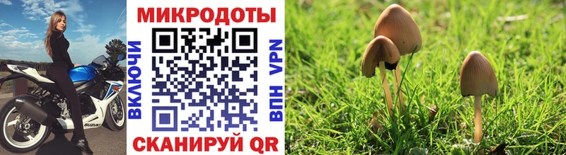 Псилоцибиновые грибы Psilocybine cubensis  купить закладку  KRAKEN как зайти  Комсомольск 